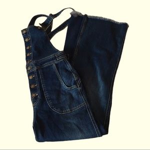 Free people denim overalls